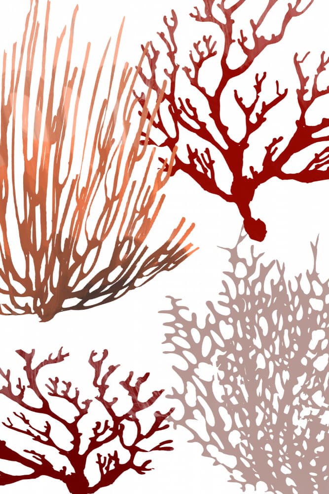 Abstract Ocean Corals by cartissi — canvas wall art