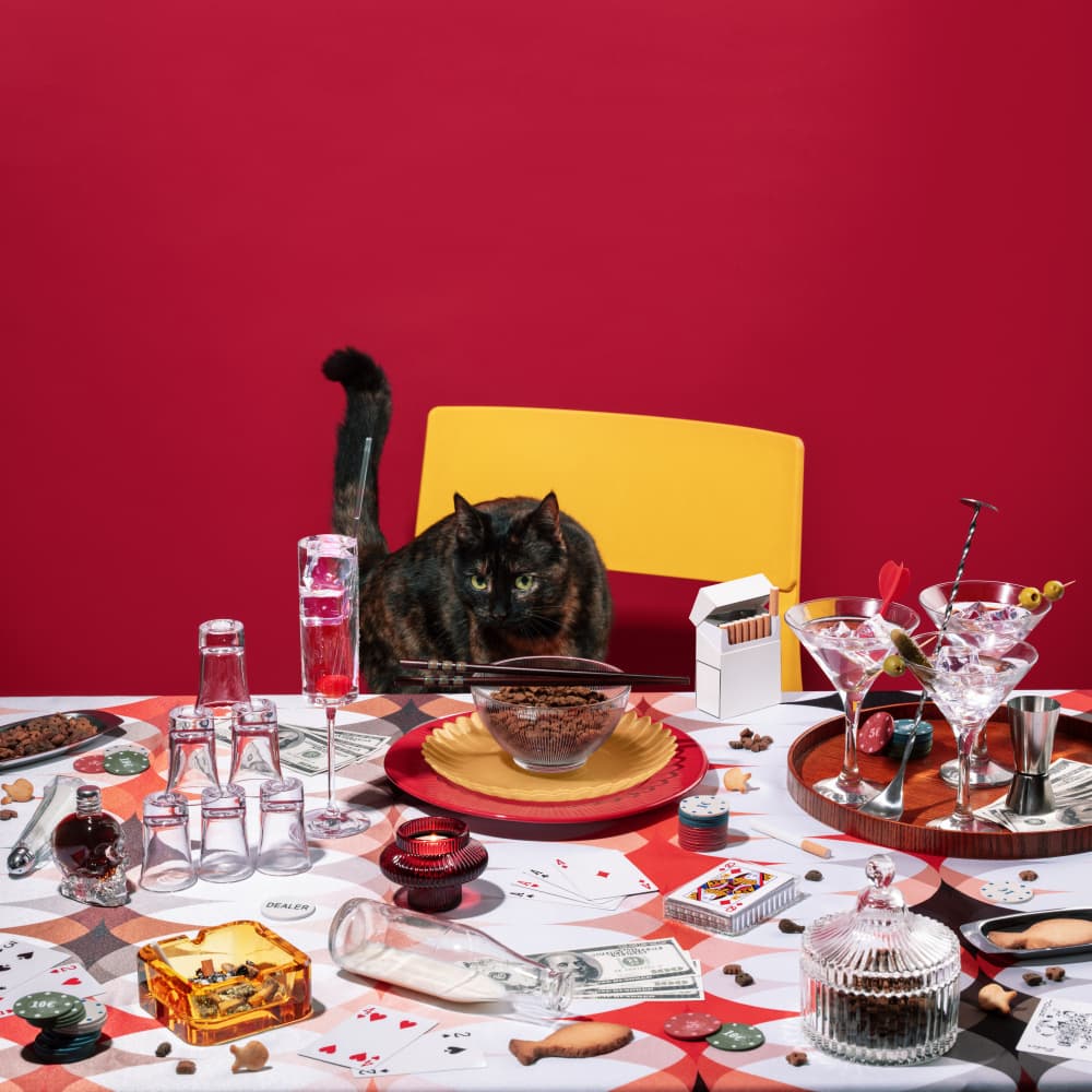 Mischievous Cat Poker Night by Julia Ramiro — canvas wall art