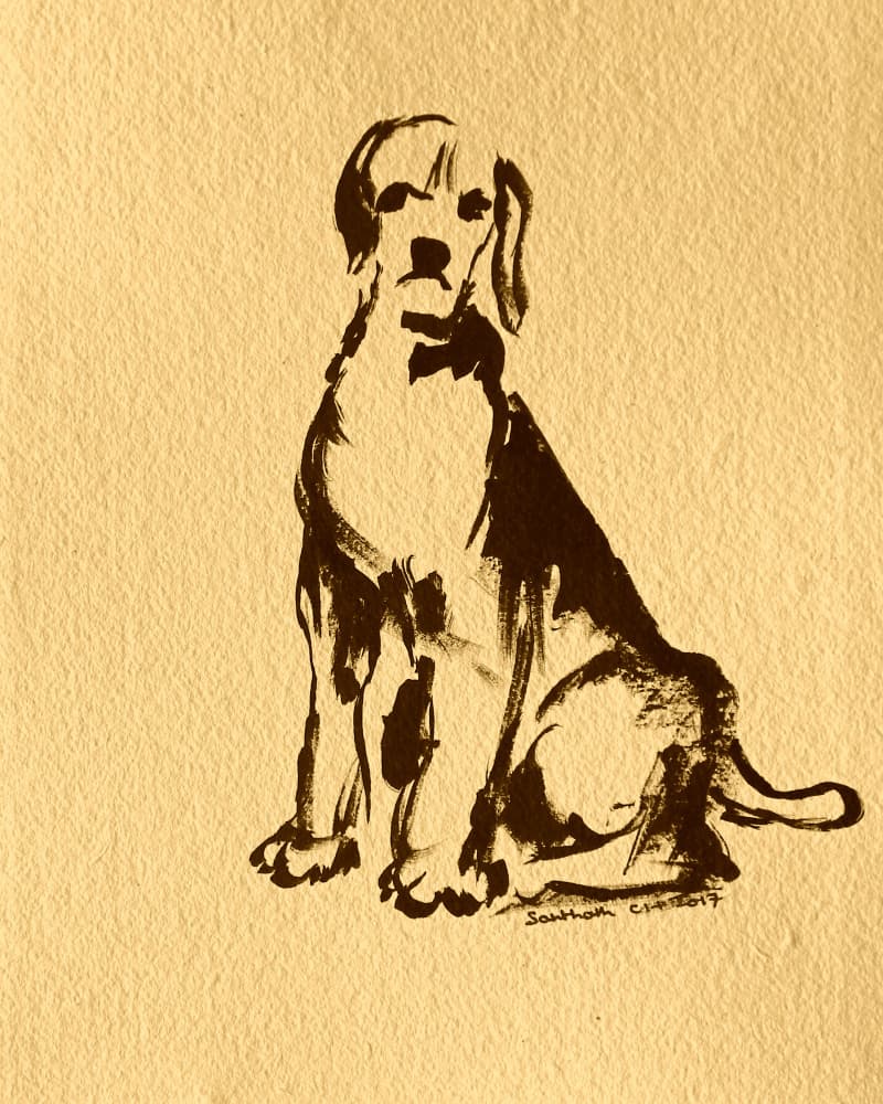 Sitting Beagle Sketch by Santhosh ch — canvas wall art