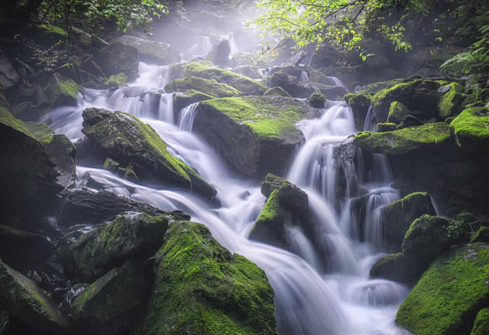 Sunlit Mossy Waterfall by Tiger Seo — canvas wall art
