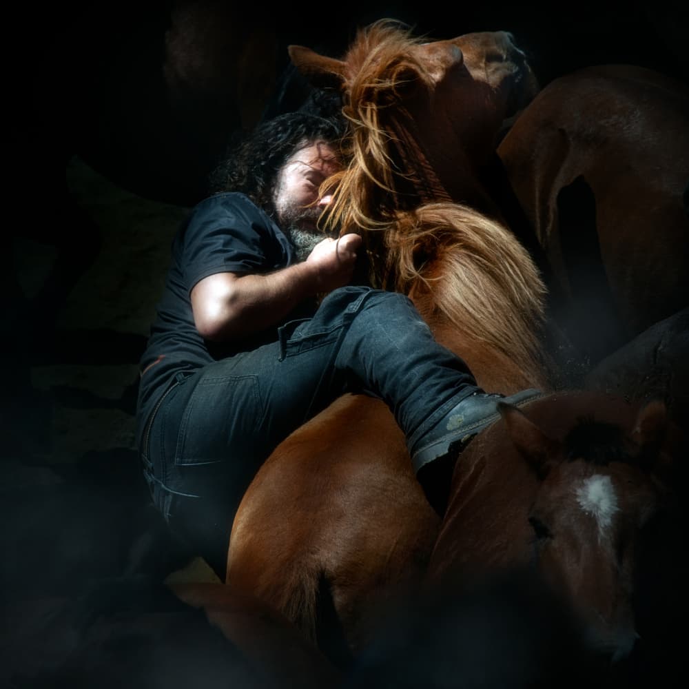 Quiet Equine Connection by Santiago Pascual Buye — canvas wall art