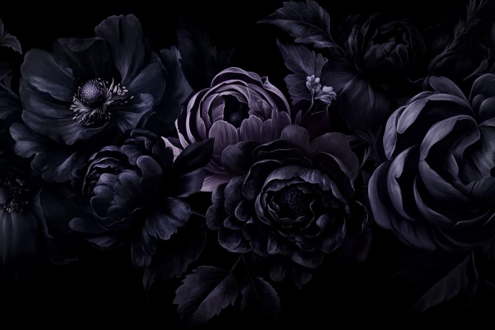 Moody Black Blooms by Andrea Haase — canvas wall art