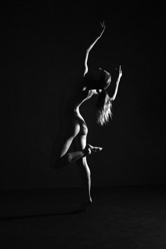 Graceful Dance Silhouette by Mel Brackstone — canvas wall art