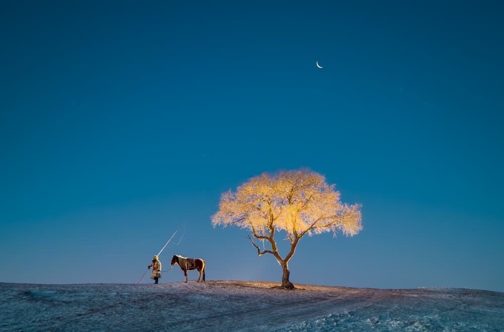 Golden Winter Solitude by Bingo Z — canvas wall art