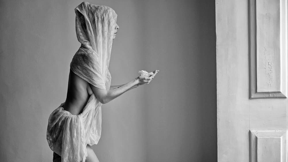 Serene Veiled Profile by Josefina Melo — canvas wall art