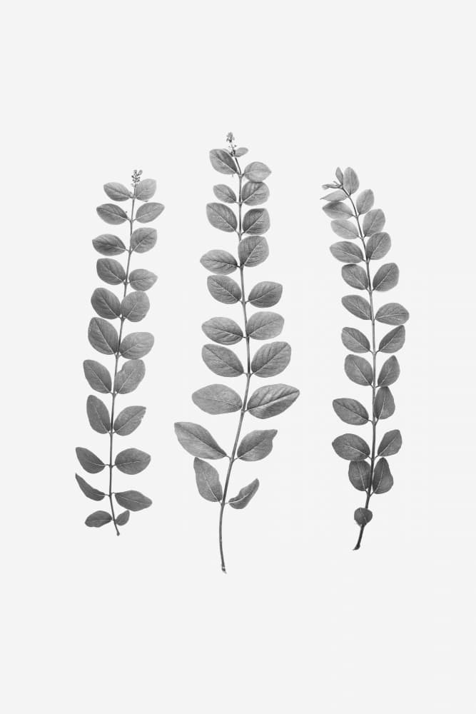 Untitled by Kathrin Pienaar — canvas wall art