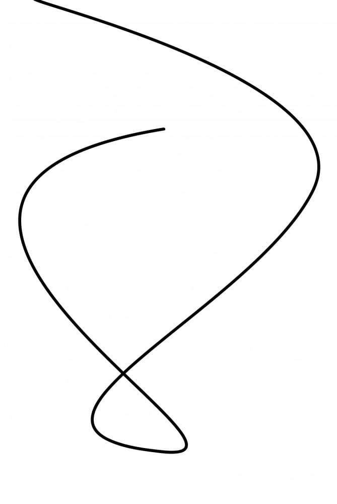 Fluid Black Line by Oju Design — canvas wall art
