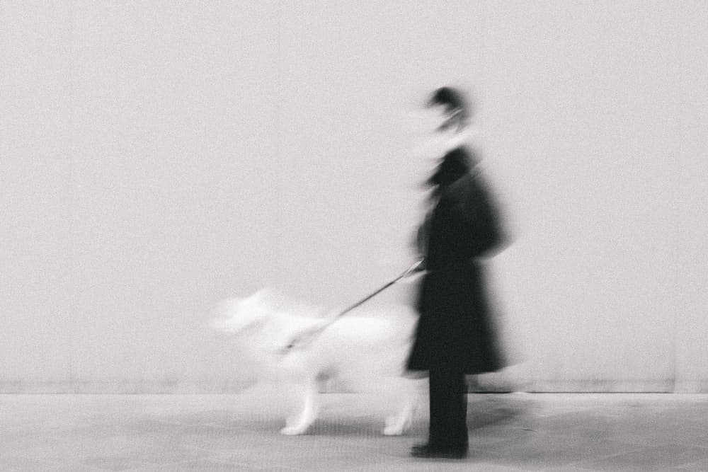Motion Blur Dog Walk by Roberto Ruoli — canvas wall art