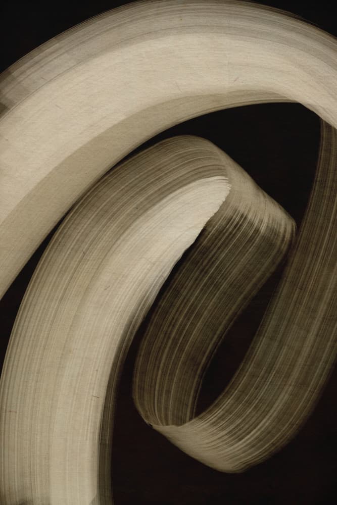 Curved Essence by Treechild — canvas wall art