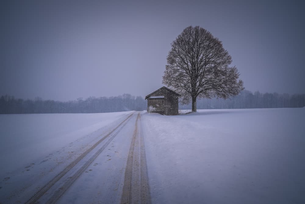 Snowy Tree and Cabin by Renate Wasinger — canvas wall art