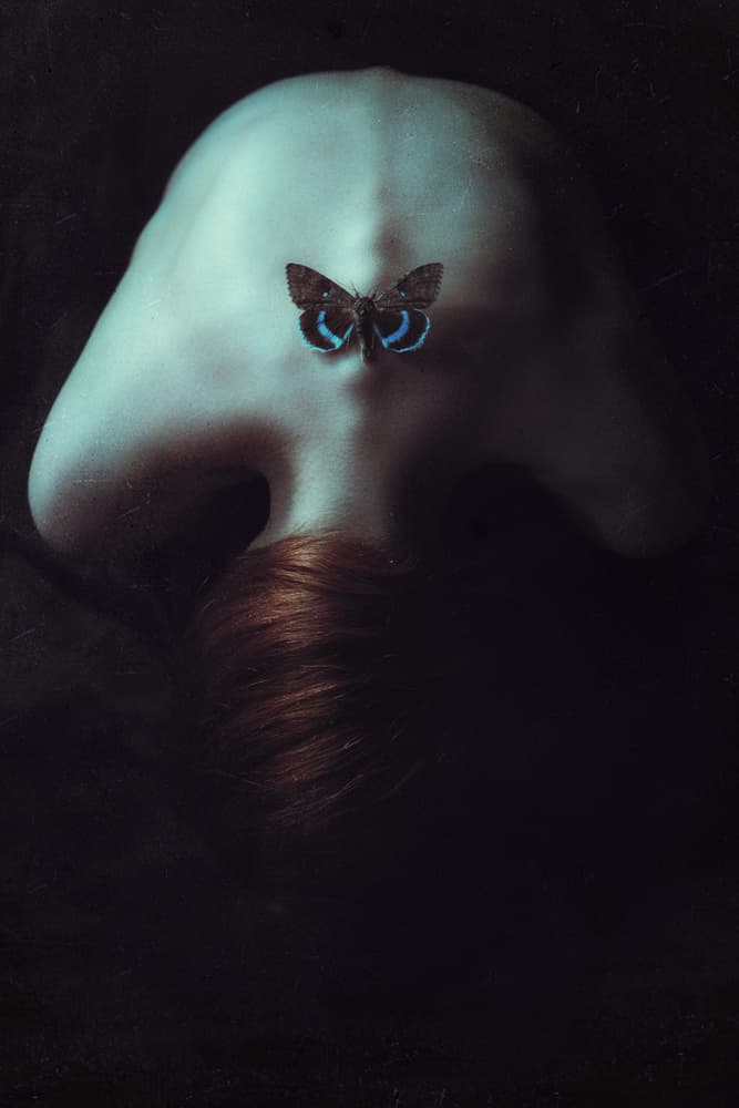 Elegant Blue Butterfly Back by Magdalena Russocka — canvas wall art