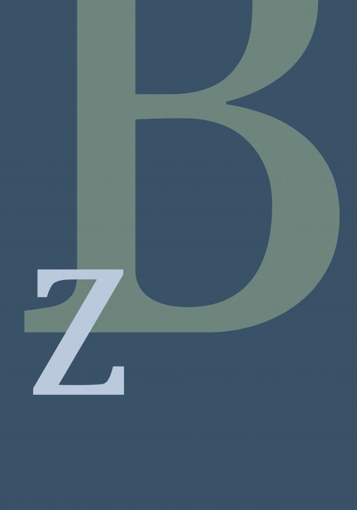 Blue Grey Letters BZ by Pictufy Studio II — canvas wall art