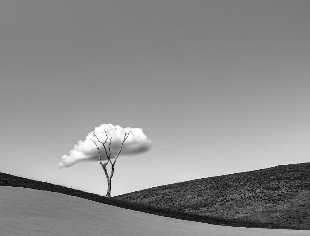 Lone Cloud Tree by Hamed Qane — canvas wall art
