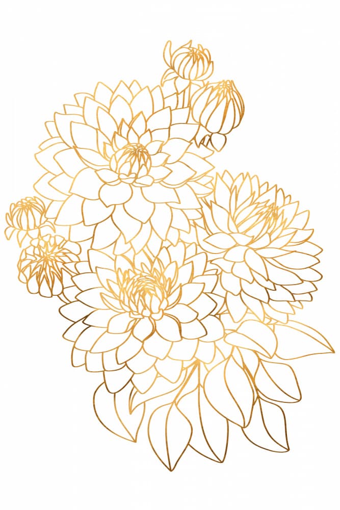 Golden Dahlia Blooms by Rosana Laiz Blursbyai — canvas wall art
