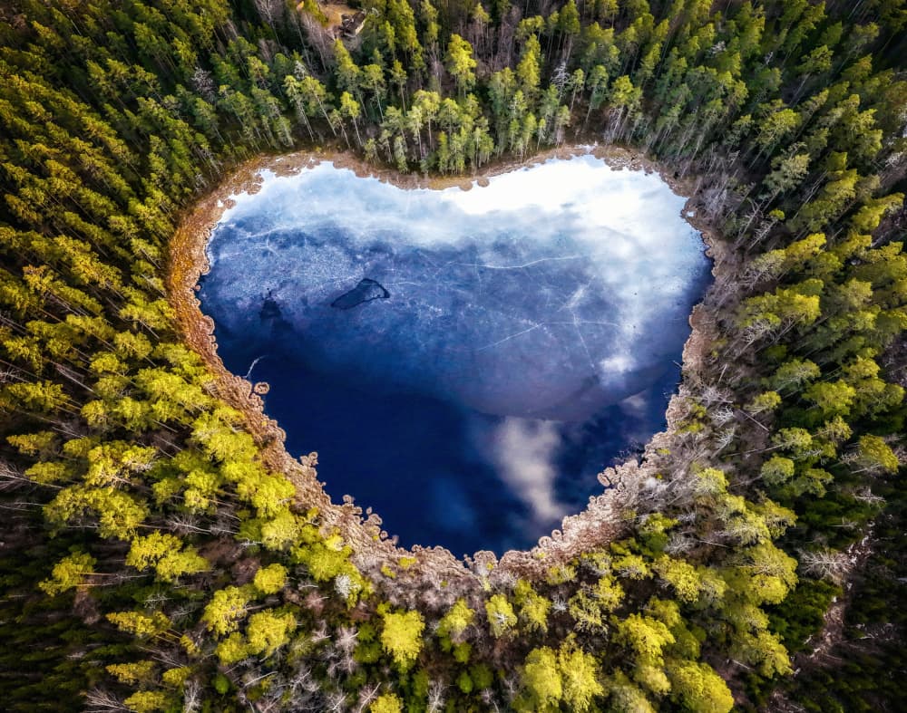 Heart Lake Forest by Stefan Gunnarsson — canvas wall art