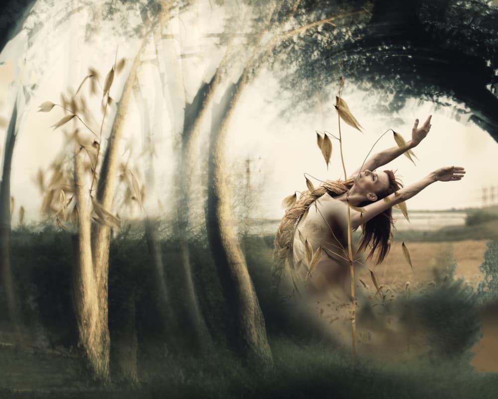 Graceful Nature Spirit by Rachel Pansky — canvas wall art