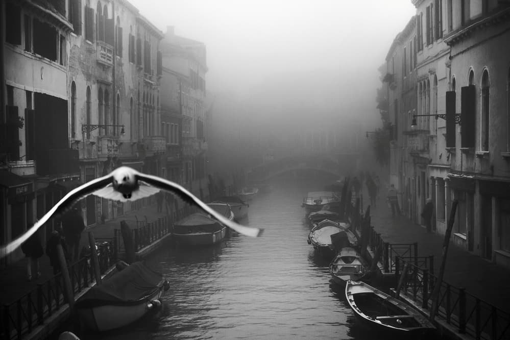 Venetian Foggy Flight by Stefano Avolio — canvas wall art