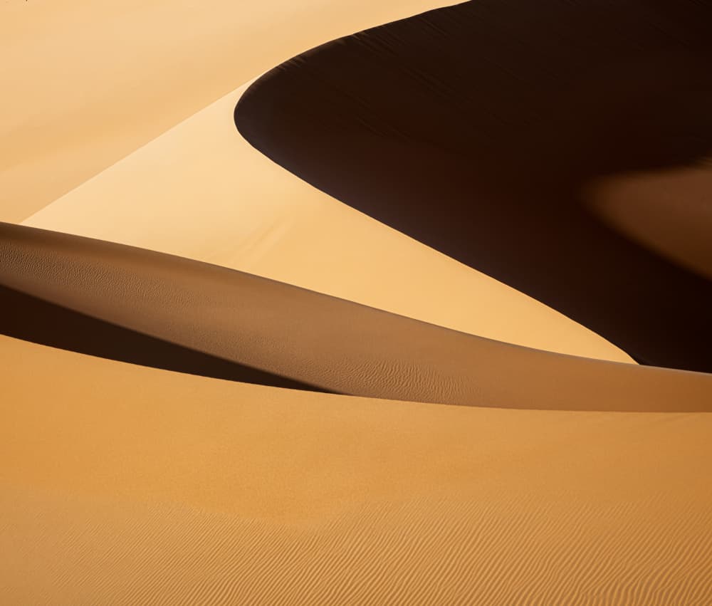 Golden Desert Curves by Yezimao — canvas wall art