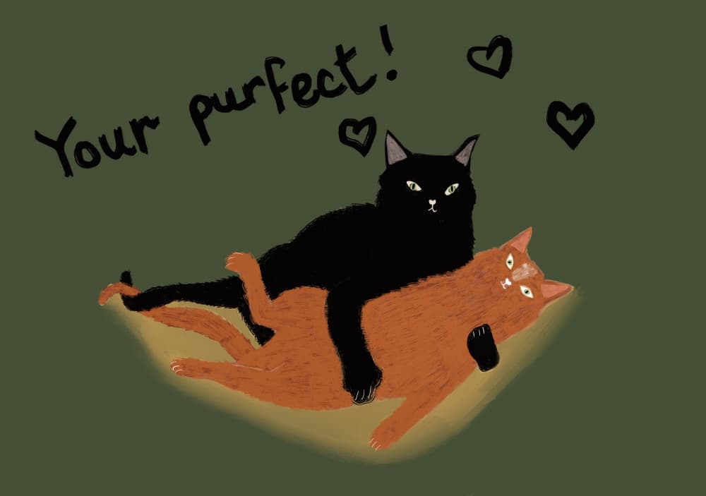 Purrfect Cat Love by Sharyn Bursic — canvas wall art
