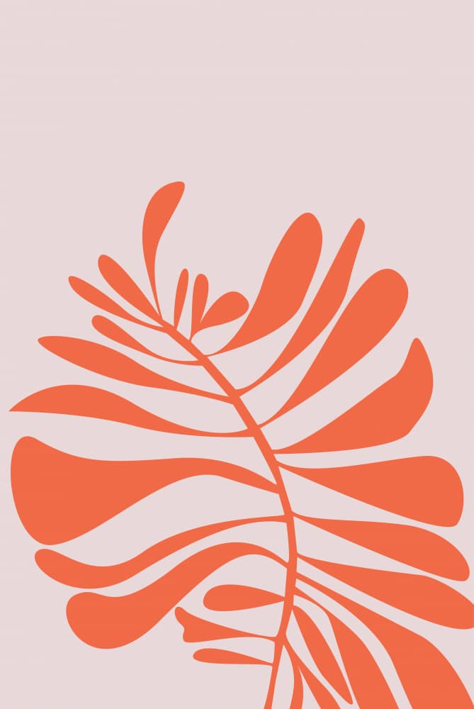 Soft Orange Botanicals by Oju Design — canvas wall art