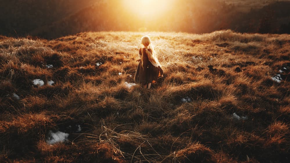 Golden Field Wanderer by Suzuhiko Suzuki — canvas wall art