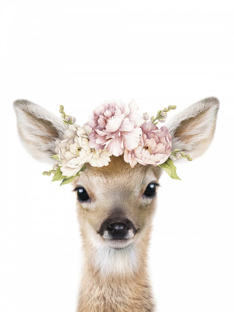 Fawn Flower Crown by Lila &amp; Lola — canvas wall art