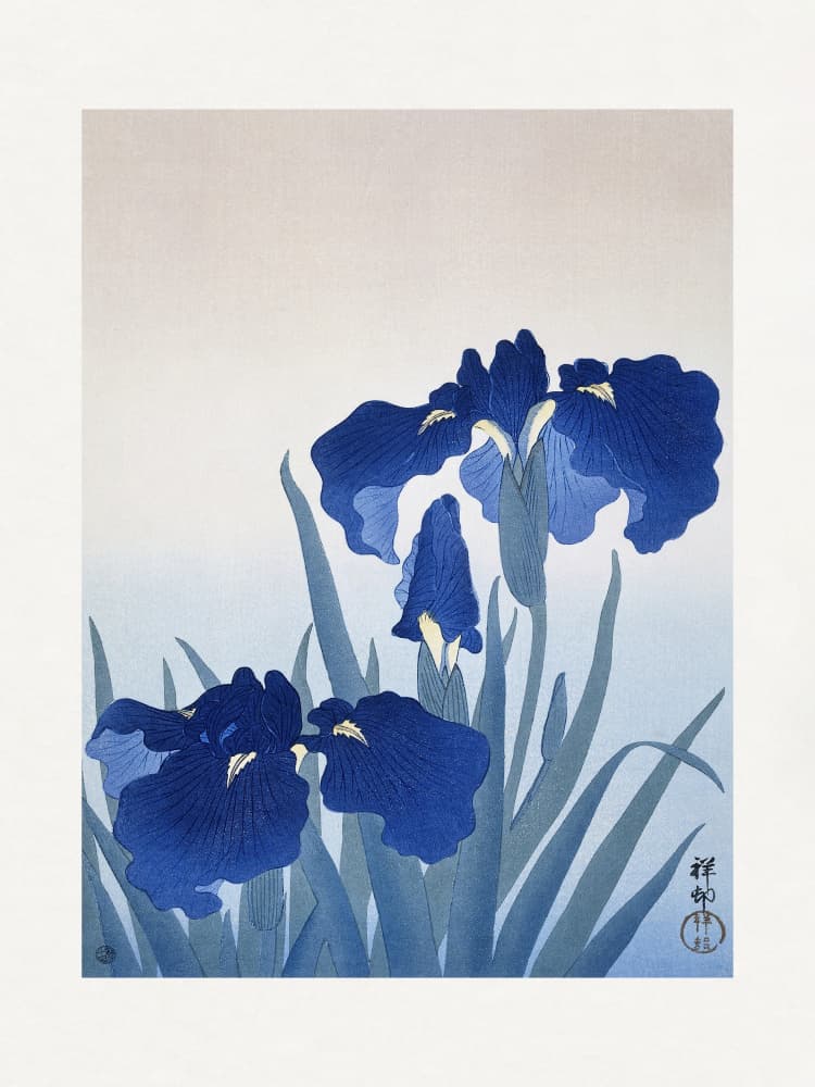Iris Flowers by Ohara Koson — canvas wall art