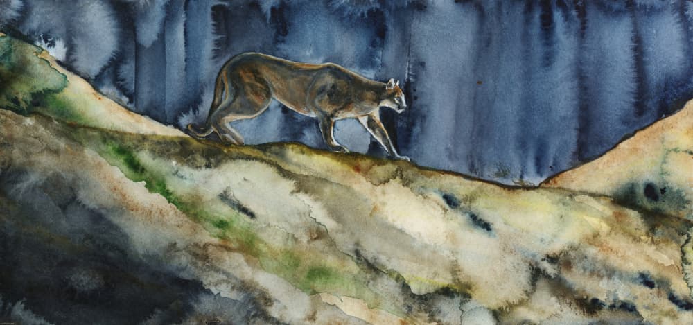 Mountain Lion Night Prowl by RodMacIver — canvas wall art