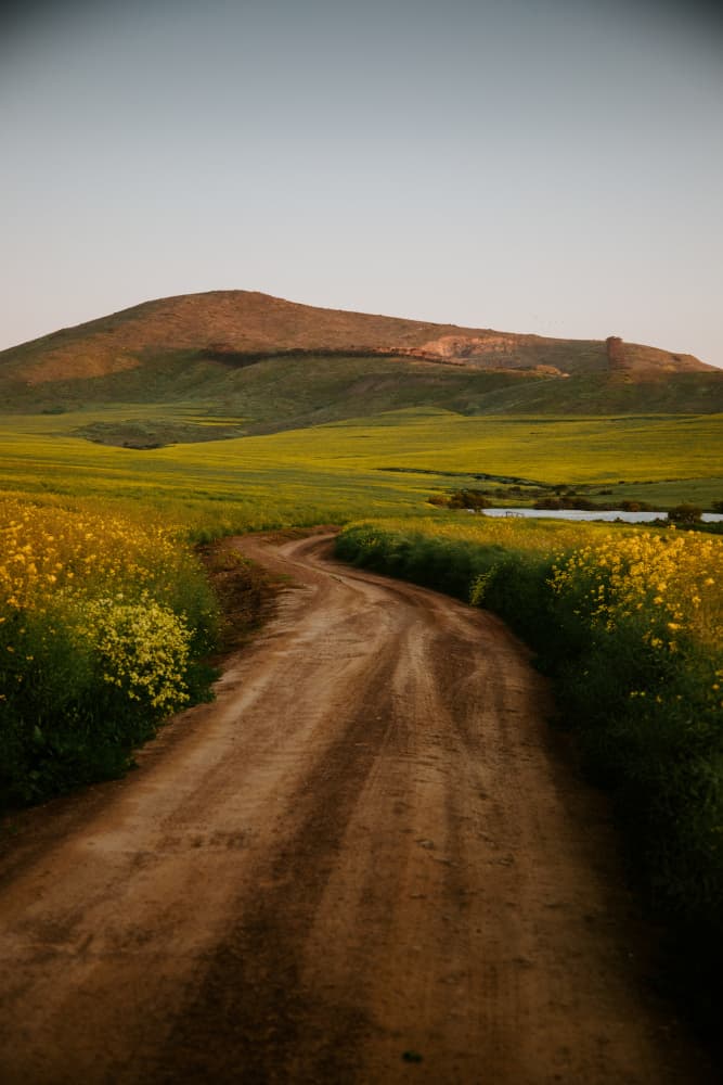 Winding Country Road by Megan Shone — canvas wall art
