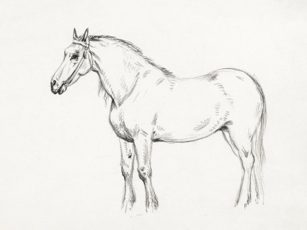 Standing Horse (1818)