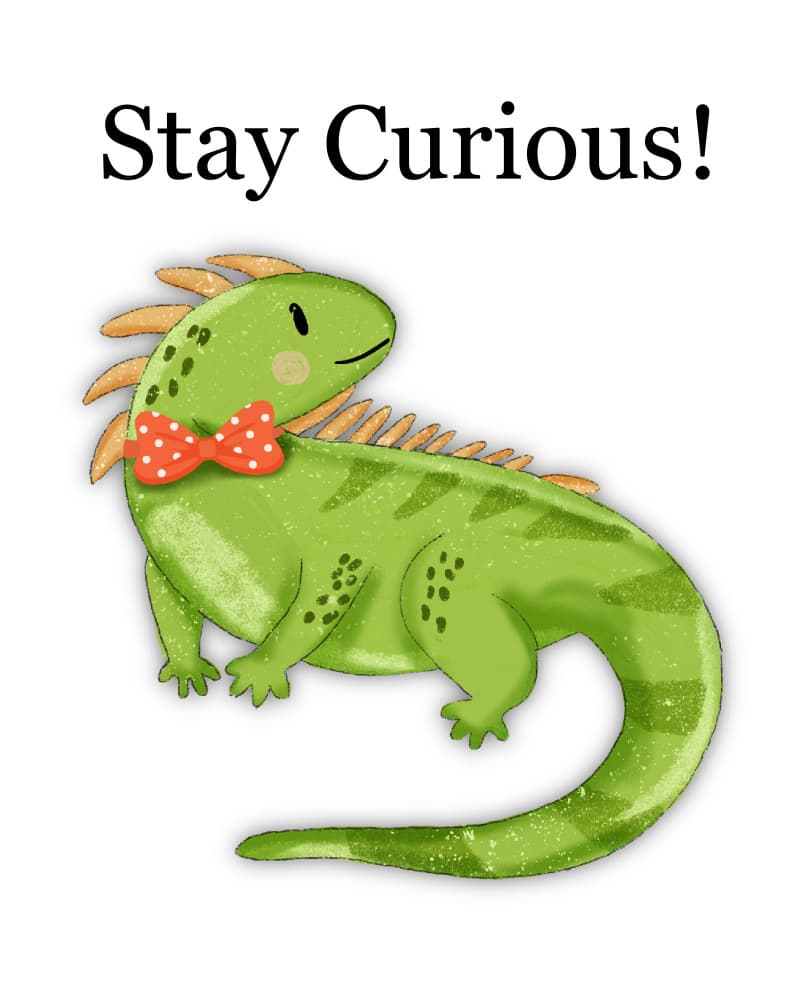 Stay Curious Iguana by Saba Rauf — canvas wall art