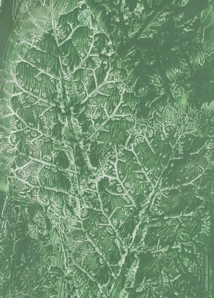 Deep Green Leaf Texture by Maira Ribena — canvas wall art