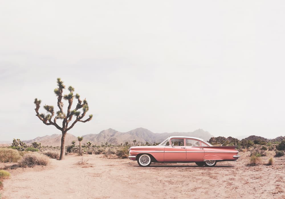 In the desert by Kathrin Pienaar — canvas wall art