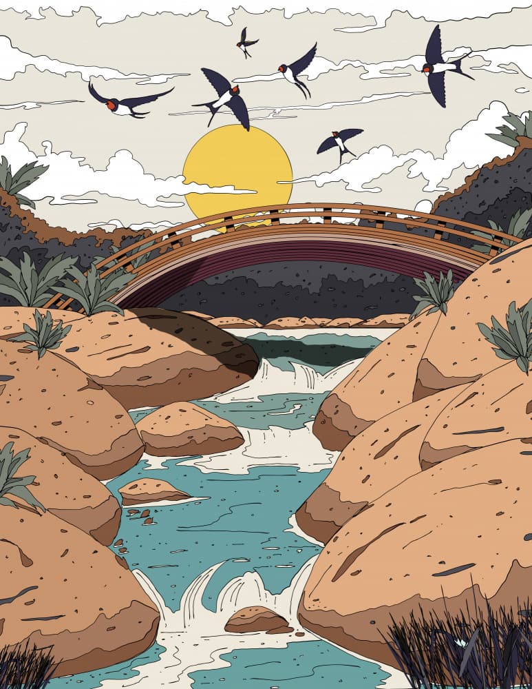 Sunrise River Swallows by Nicholas — canvas wall art