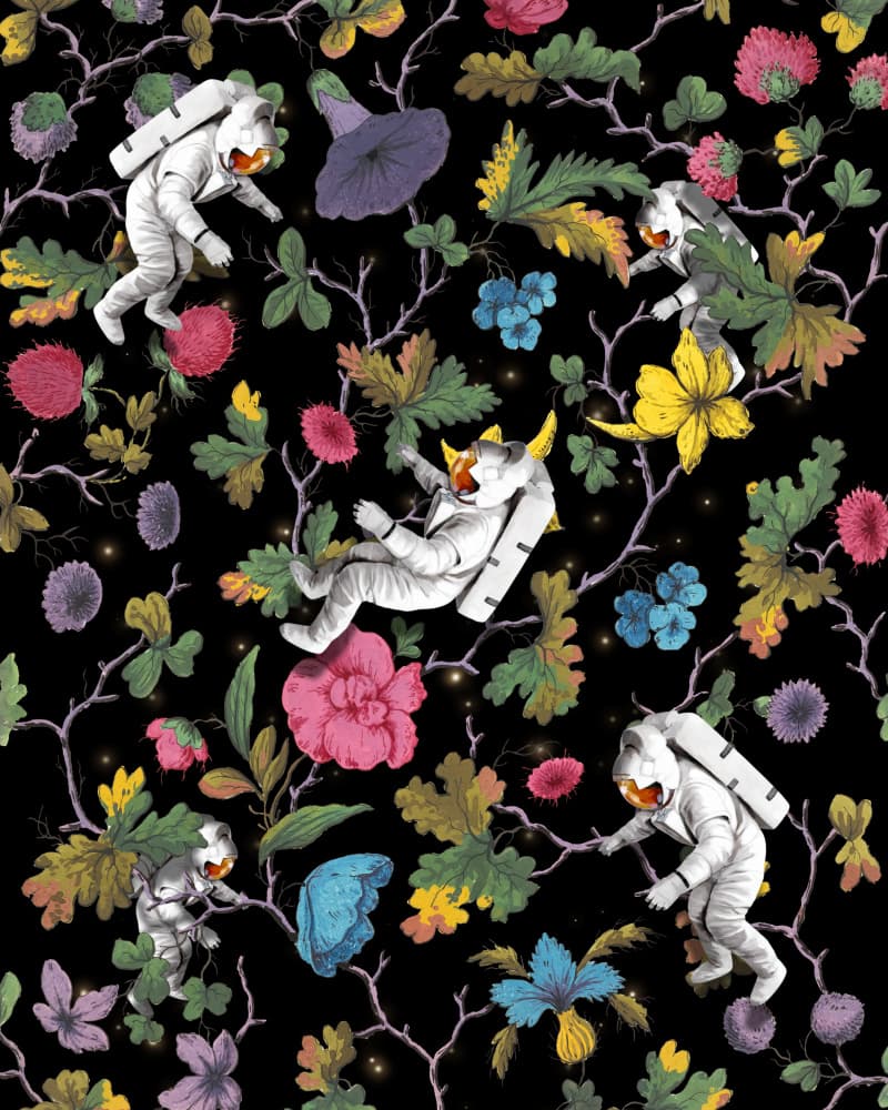 Whimsical Space Garden