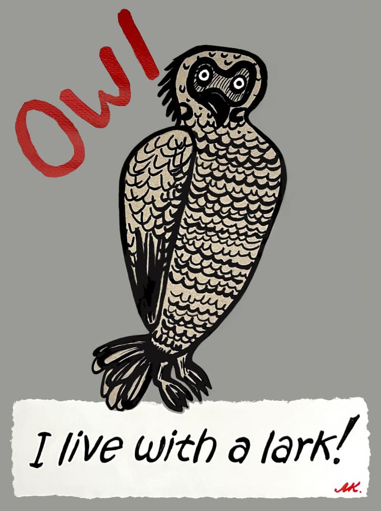 Owl Complains About Lark by Marina Kozyr — canvas wall art