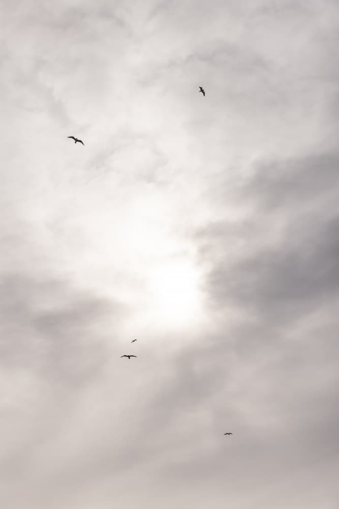 Sicilian Memories 13