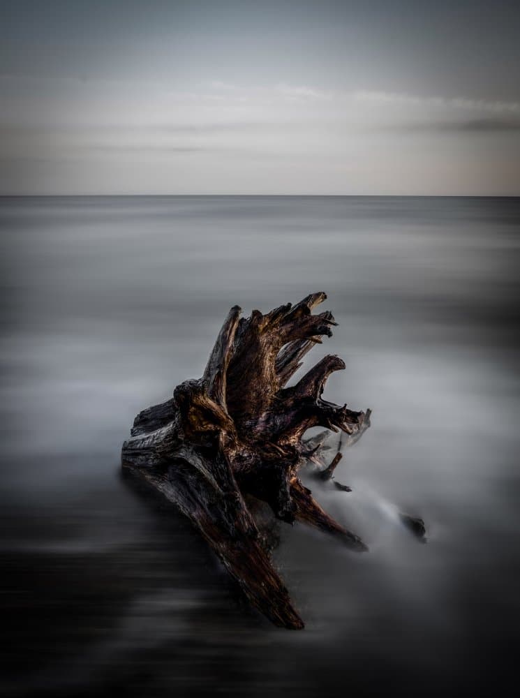 Driftwood Ocean Serenity by Adachi Lintaman — canvas wall art