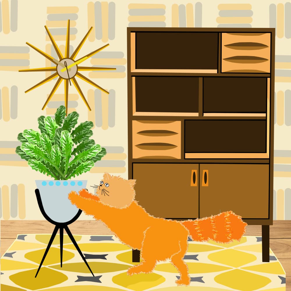 Playful Orange Cat by Lynnda Rakos — canvas wall art