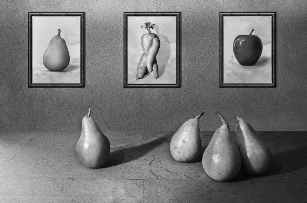 Curious Fruit Gallery by Montserrat Alviani — canvas wall art