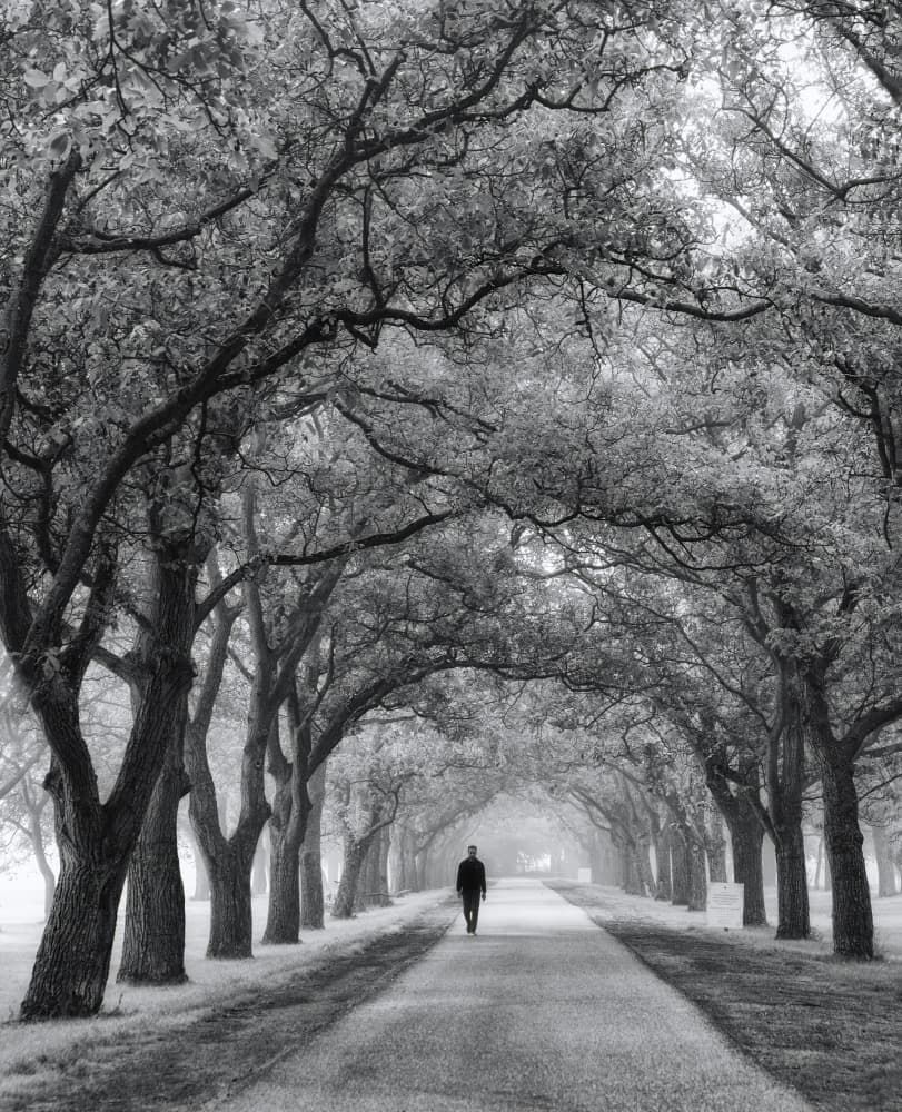 Man on Misty Avenue by Ria Groot Zevert — canvas wall art
