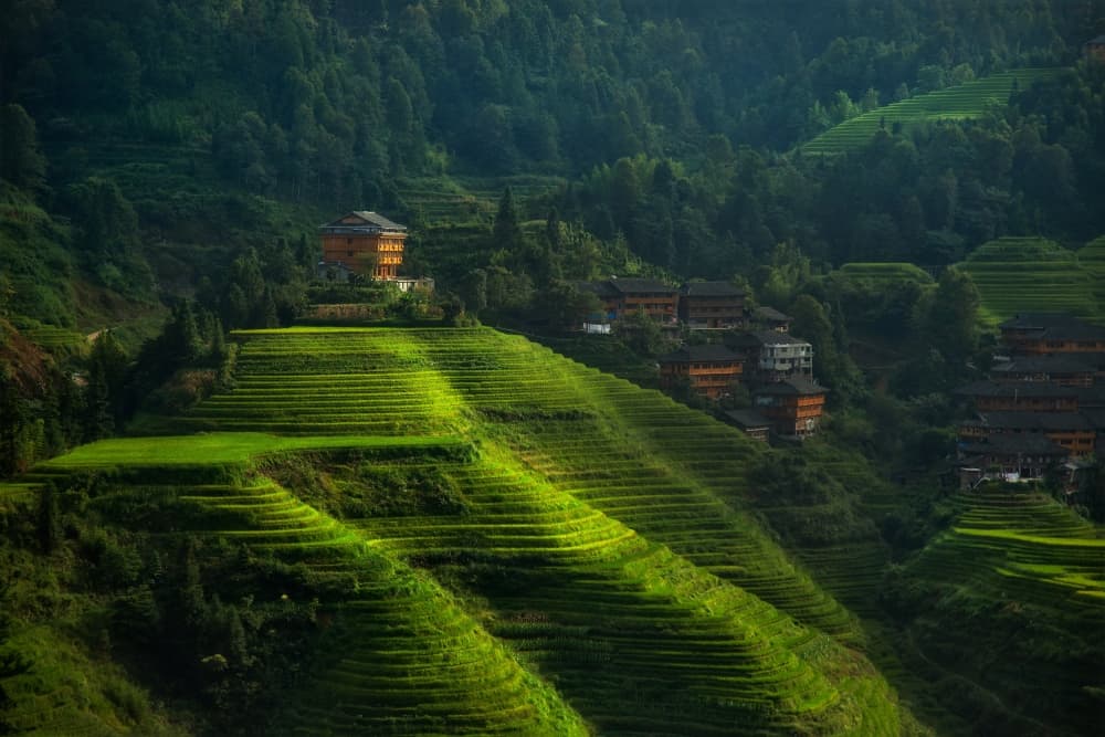 Serene Rice Terrace Village by Max Witjes — canvas wall art
