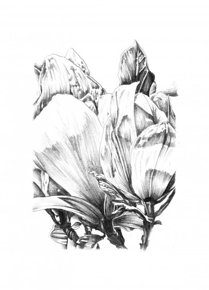 Elegant Floral Study by Kulik — canvas wall art