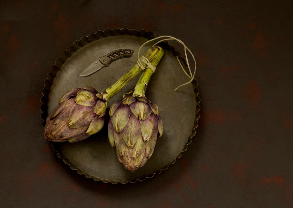 Rustic Artichoke Still Life by Alida van Zaane — canvas wall art