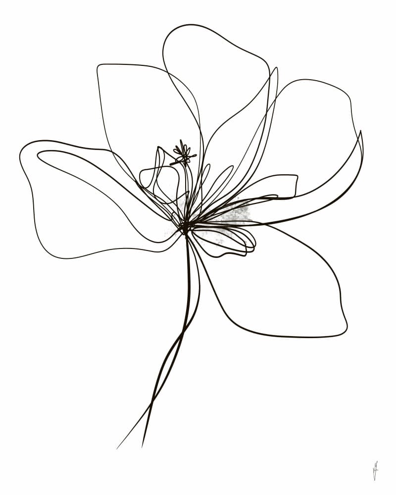 Elegant Floral Drawing by Ankie Kooi — canvas wall art