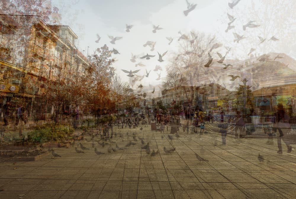 Urban Motion Pigeons by Sara shafigh — canvas wall art