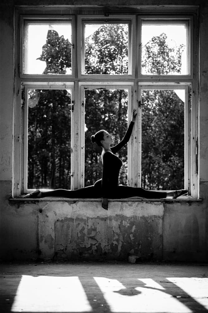 Graceful Splits in Window by Martin Krystynek MQEP — canvas wall art