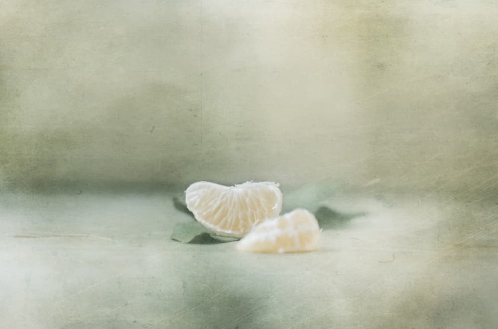 Soft Citrus Still Life by Delphine Devos — canvas wall art