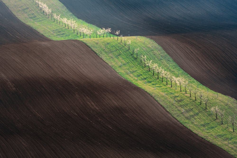 Rolling Spring Fields by Petr Kovar — canvas wall art