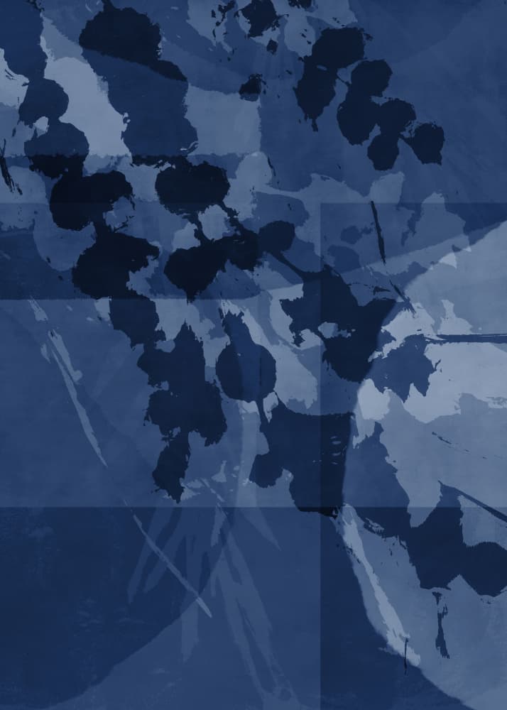 Indigo Organic Forms by Dina Dankers — canvas wall art